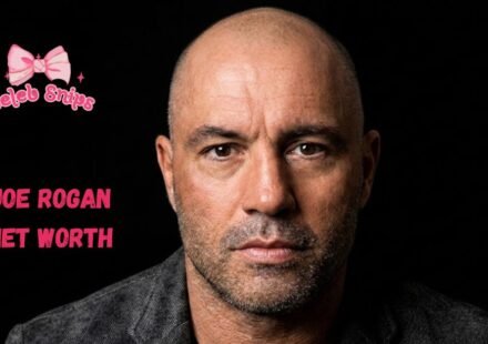 Joe Rogan Net Worth