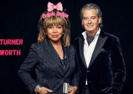 Tina Turner Net Worth