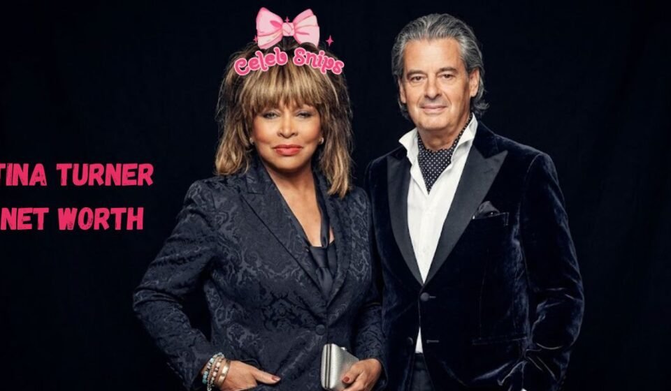 Tina Turner Net Worth