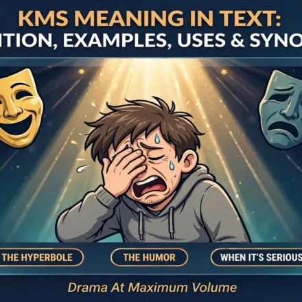KMS meaning in text infographic: definition, examples, uses and synonyms