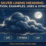 Silver lining meaning infographic: definition, examples, uses and synonyms