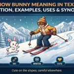 Snow bunny meaning in text infographic: definition, examples, uses and synonyms