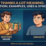Thanks a lot meaning infographic: definition, examples, uses and synonyms