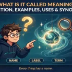 What is it called meaning infographic: definition, examples, uses and synonyms